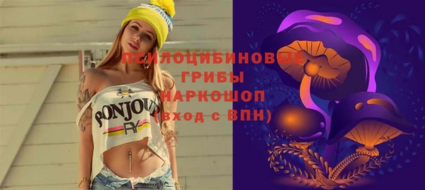 тгк Богданович