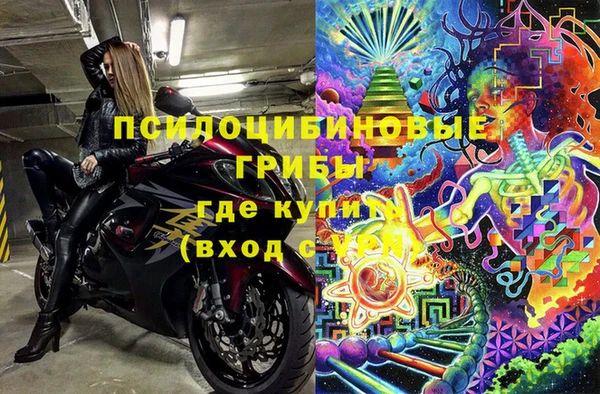 тгк Богданович