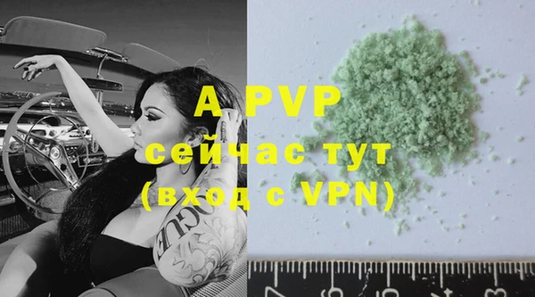 тгк Богданович
