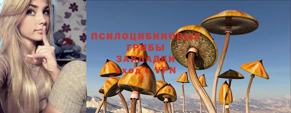 тгк Богданович