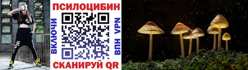 KRAKEN вход  Дорогобуж  Псилоцибиновые грибы GOLDEN TEACHER  где можно купить наркотик 