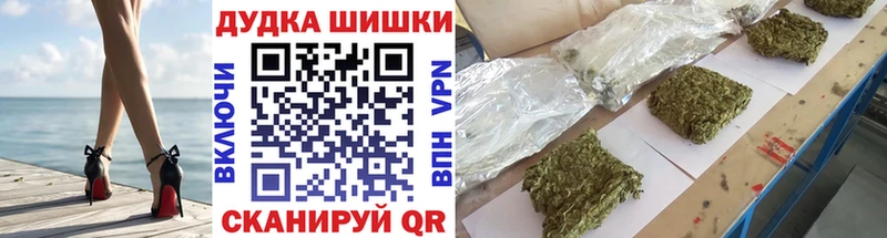 Каннабис планчик  где продают наркотики  Дорогобуж 